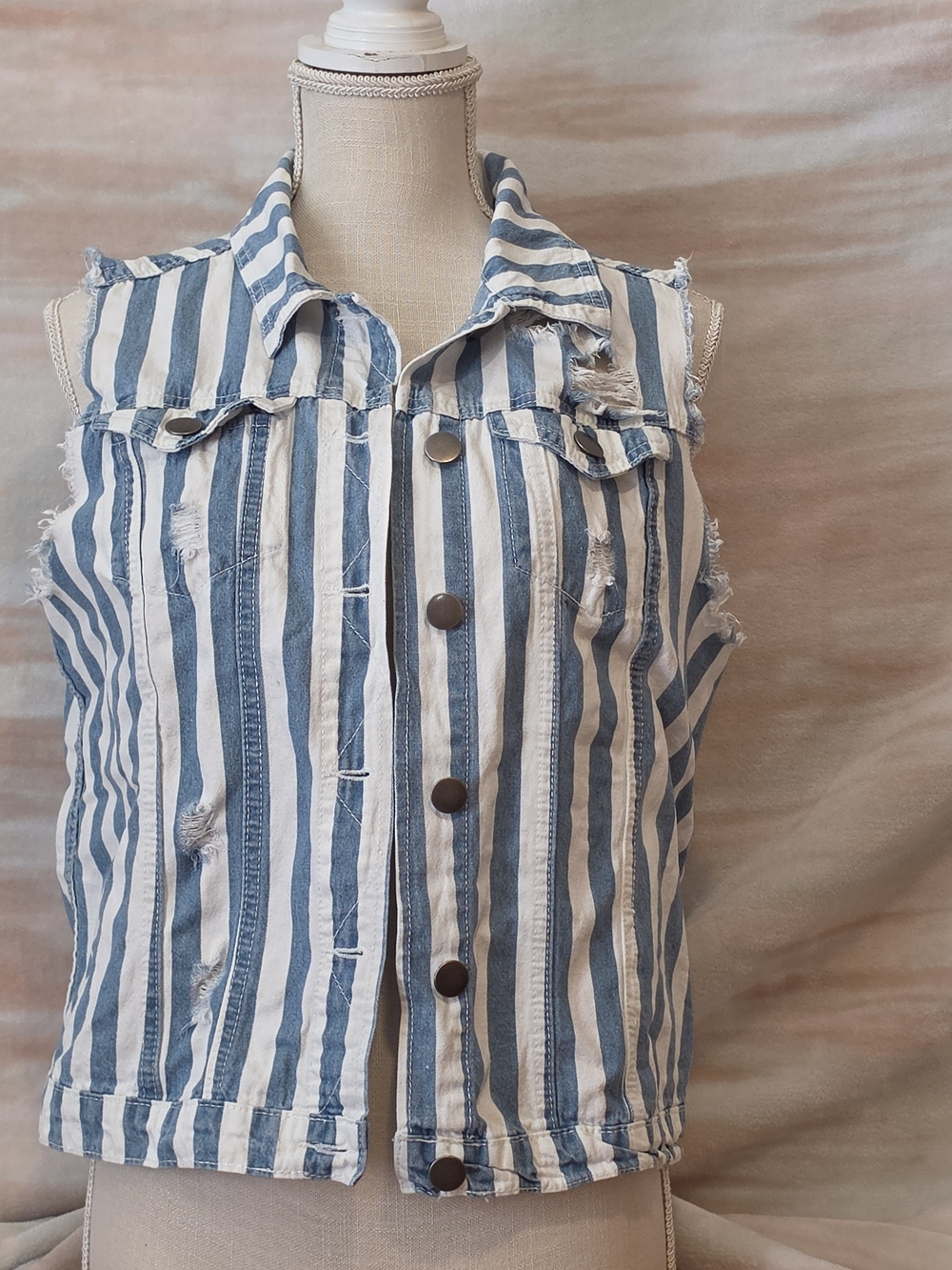 Striped Sleeveless Denim Vest in Blue and White